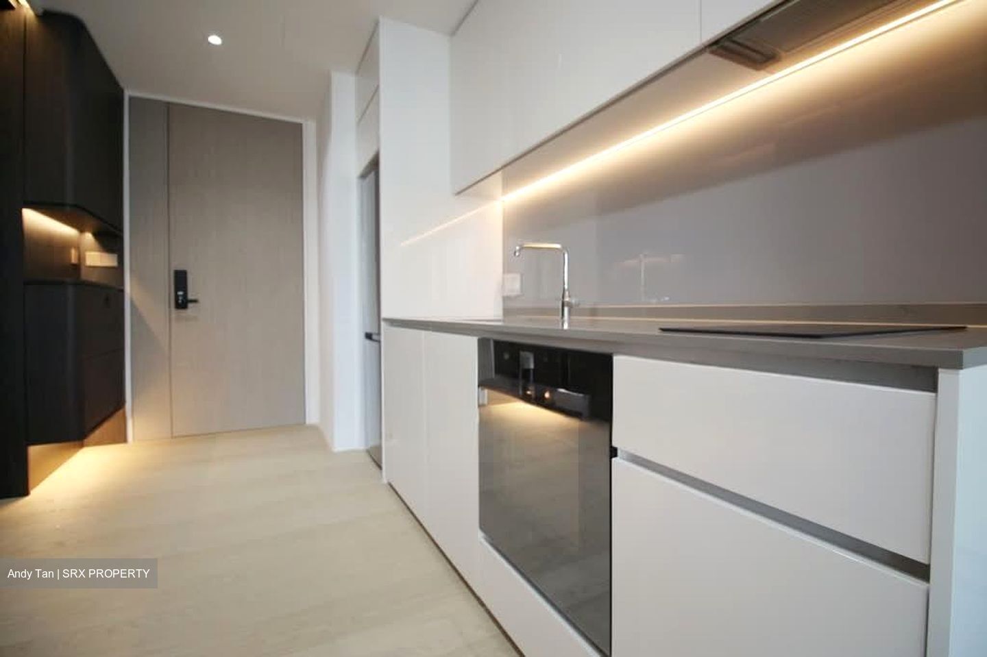 Amber Park (D15), Condominium #568773291